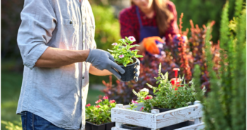 Backyard on a Budget: How to Save Big When Doing Outdoor Projects