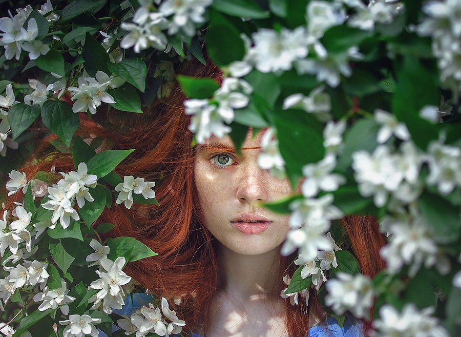 The flower of veneration chapter 1